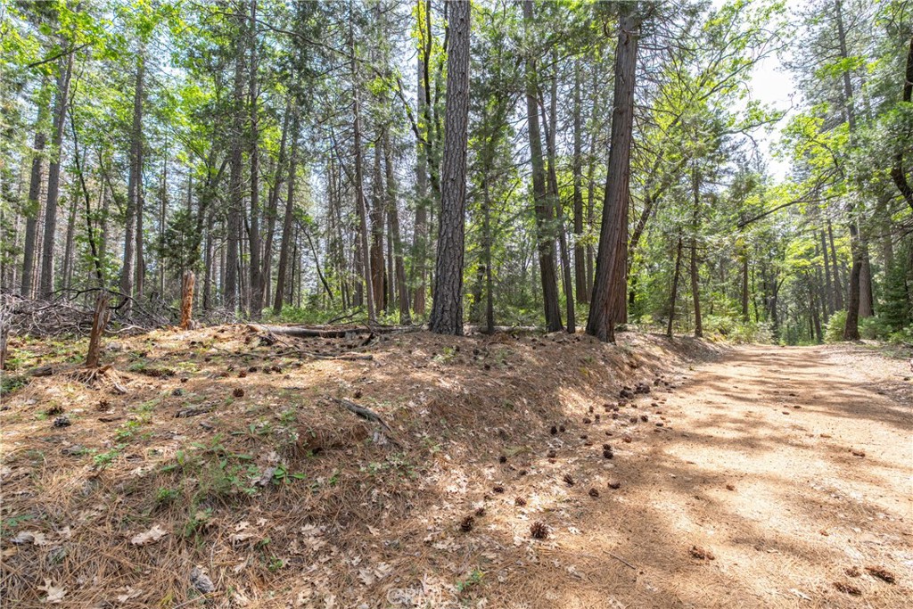 0 Scotty Ln. Lane Forest Ranch, CA 95942 - Photo 5 of 26
