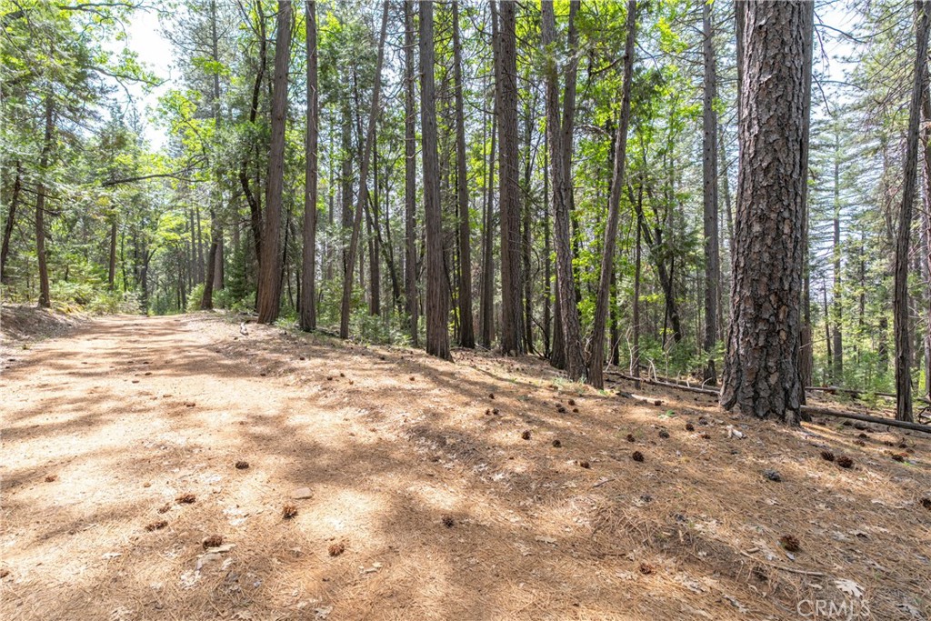 0 Scotty Ln. Lane Forest Ranch, CA 95942 - Photo 6 of 26