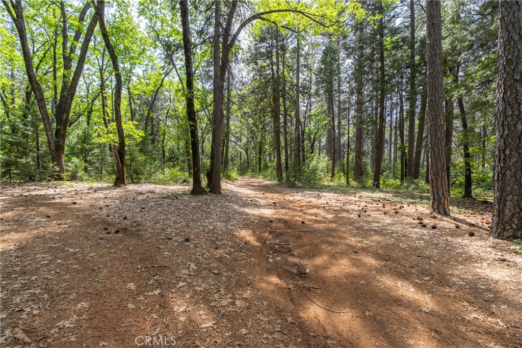 0 Scotty Ln. Lane Forest Ranch, CA 95942 - Photo 7 of 26