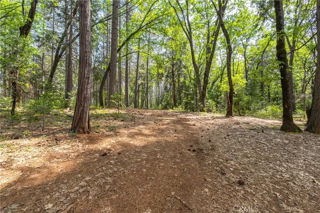 a view of outdoor space and trees