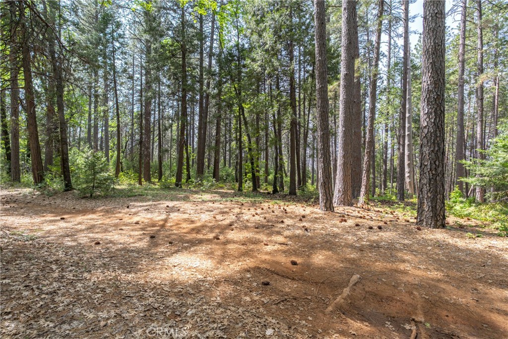 0 Scotty Ln. Lane Forest Ranch, CA 95942 - Photo 9 of 26