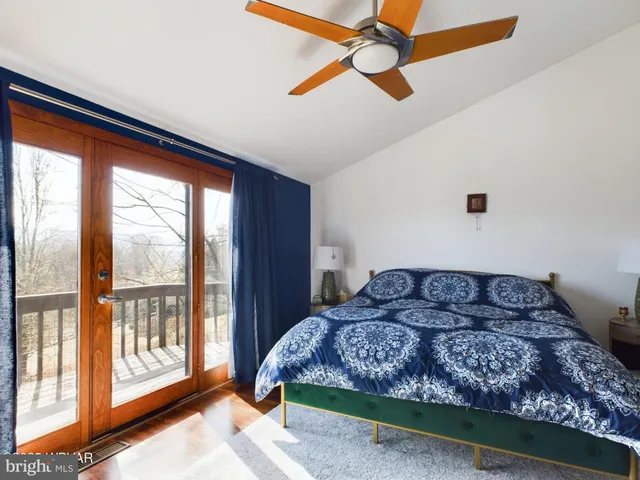 a view of a backyard with plants