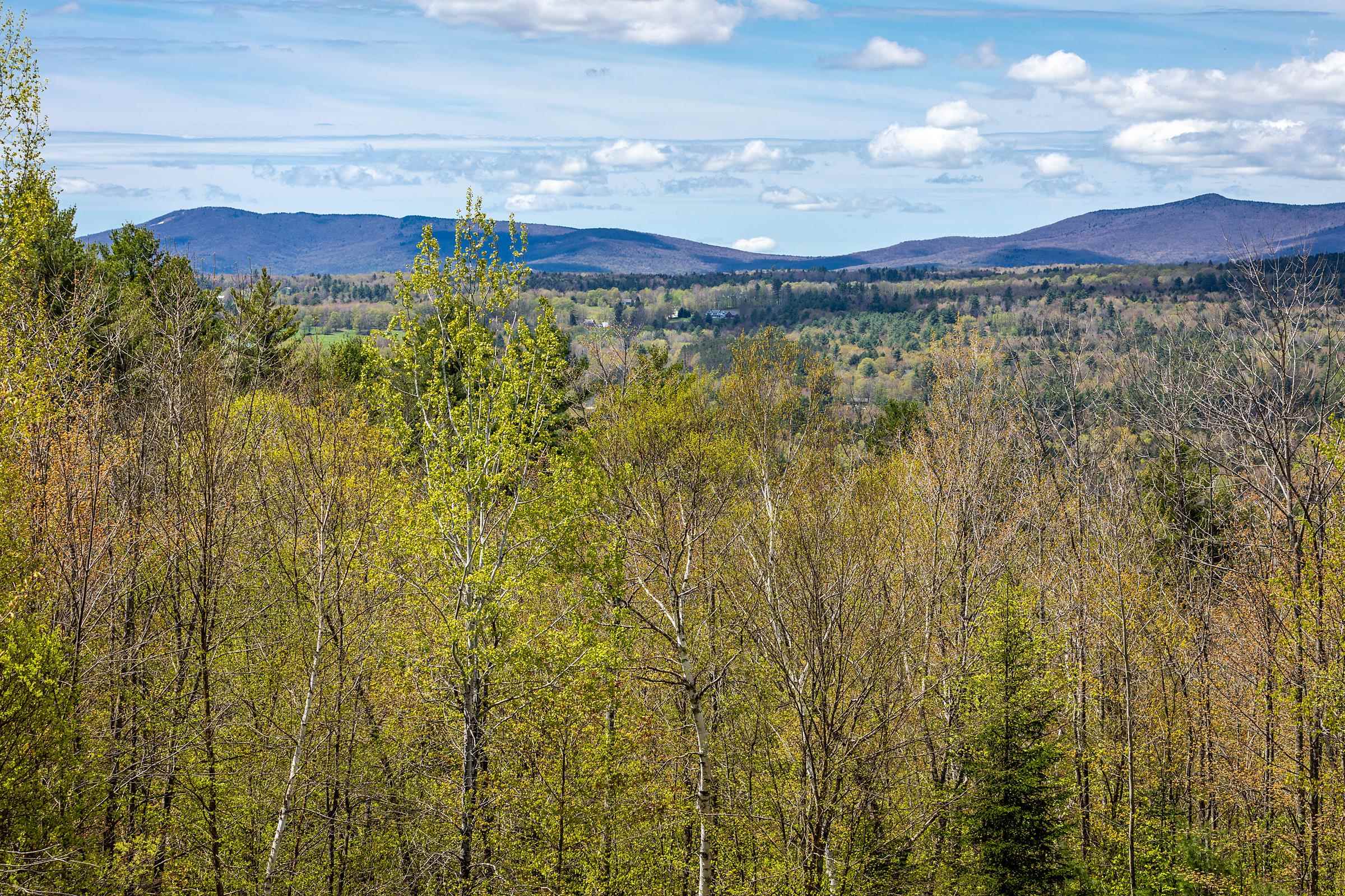 79 Obed Moore Road Weston, VT 05161 - Photo 32 of 39