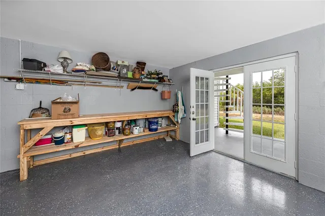 a view of a park with palm trees