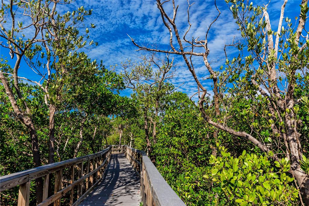 816 Hidden Harbour Drive Indian Rocks Beach, FL 33785 - Photo 51 of 58