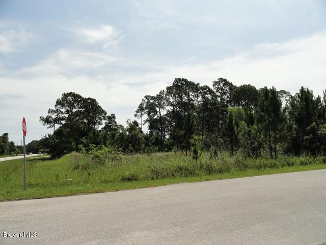 Corner Southeast Corner Se San Filippo And Ran Road Palm Bay, FL 32909 - Photo 2 of 6 RanSFCorner