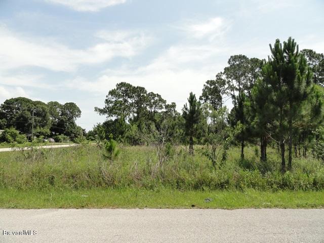 Corner Southeast Corner Se San Filippo And Ran Road Palm Bay, FL 32909 - Photo 3 of 6 RanSFSouthWest