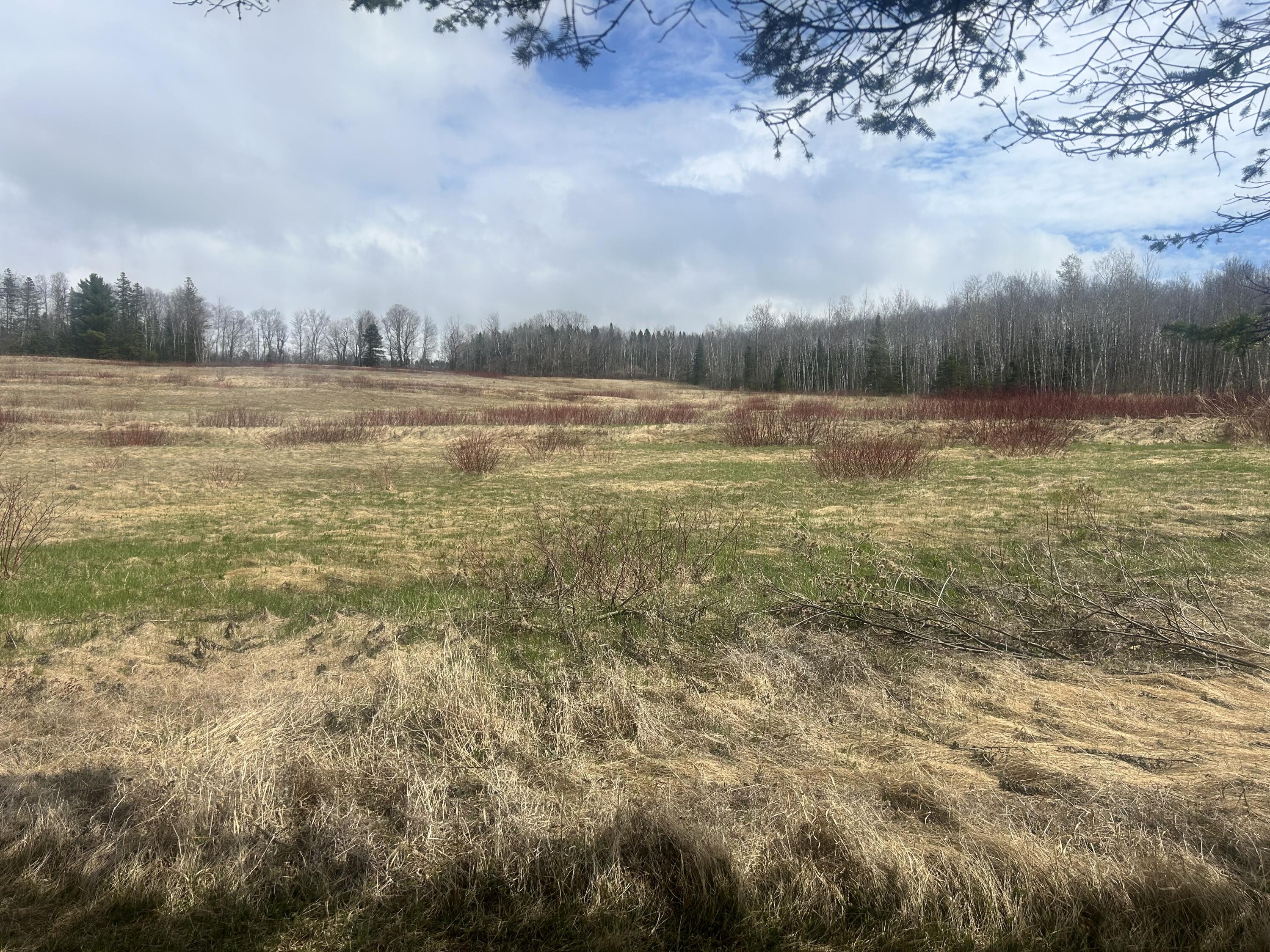 304 Strip Road Wallagrass, ME 04781 - Photo 10 of 29 IMG_5503