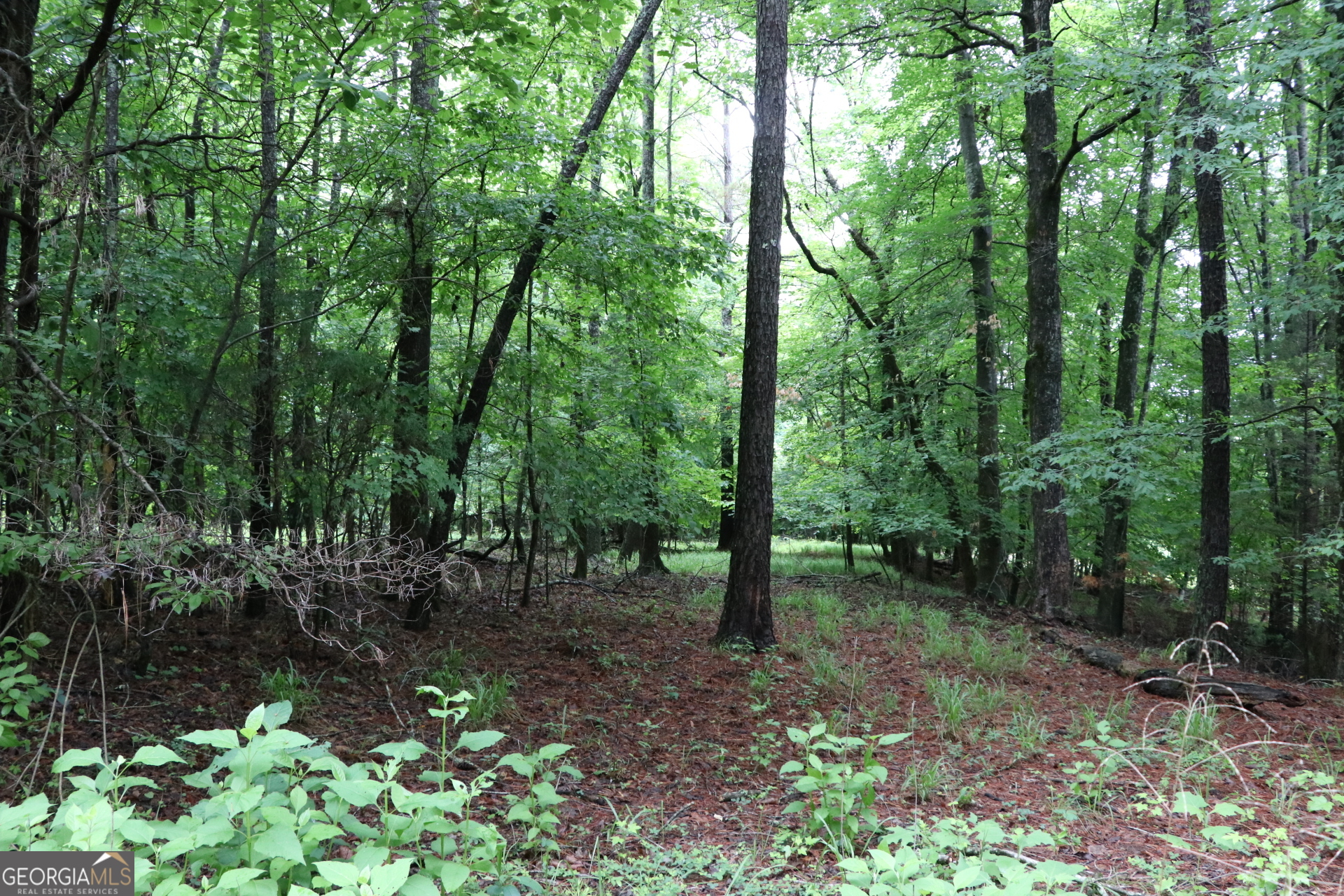 833 Neal Gap Road Summerville, GA 30747 - Photo 75 of 86