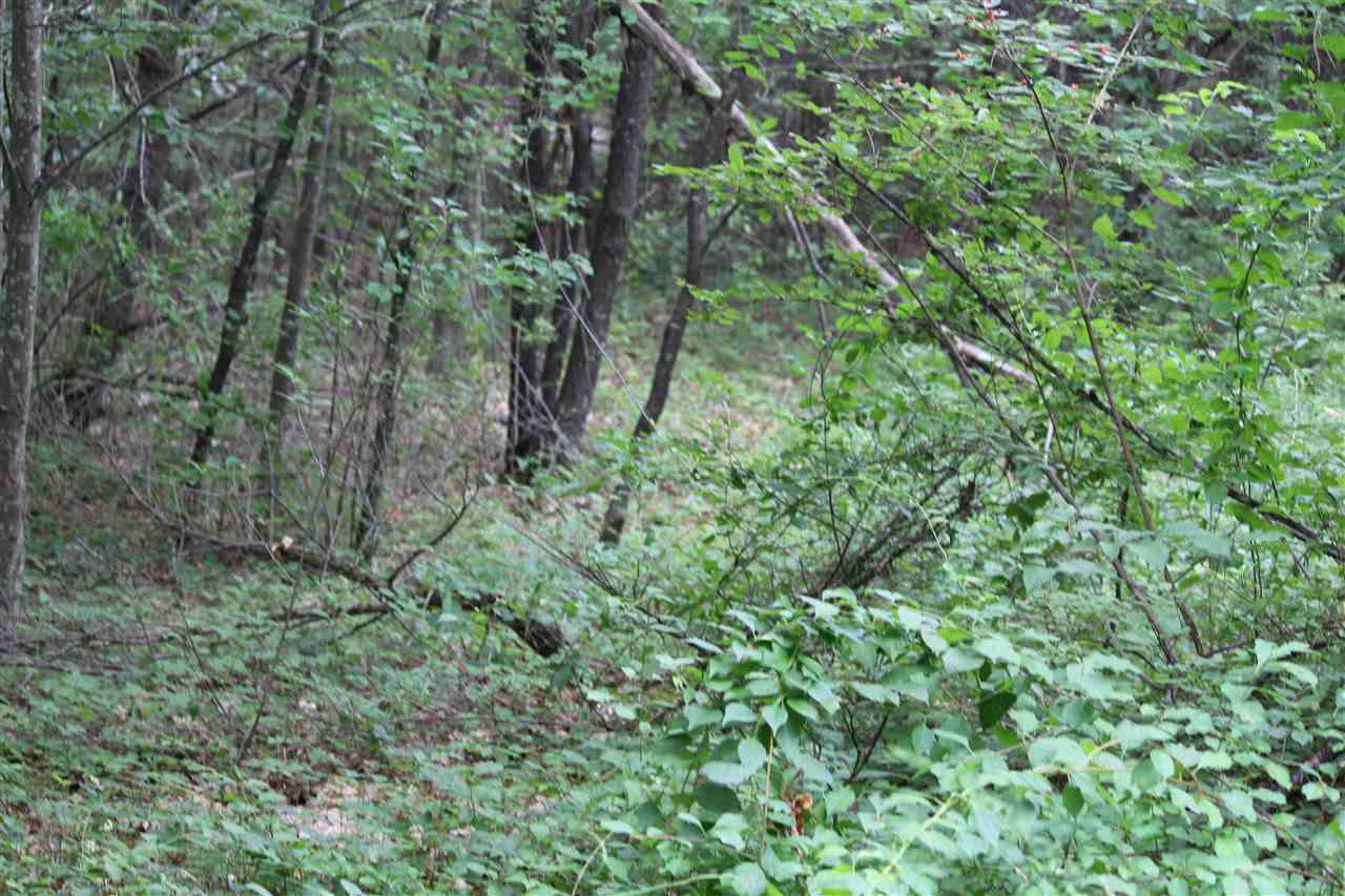 Gallery Image 7