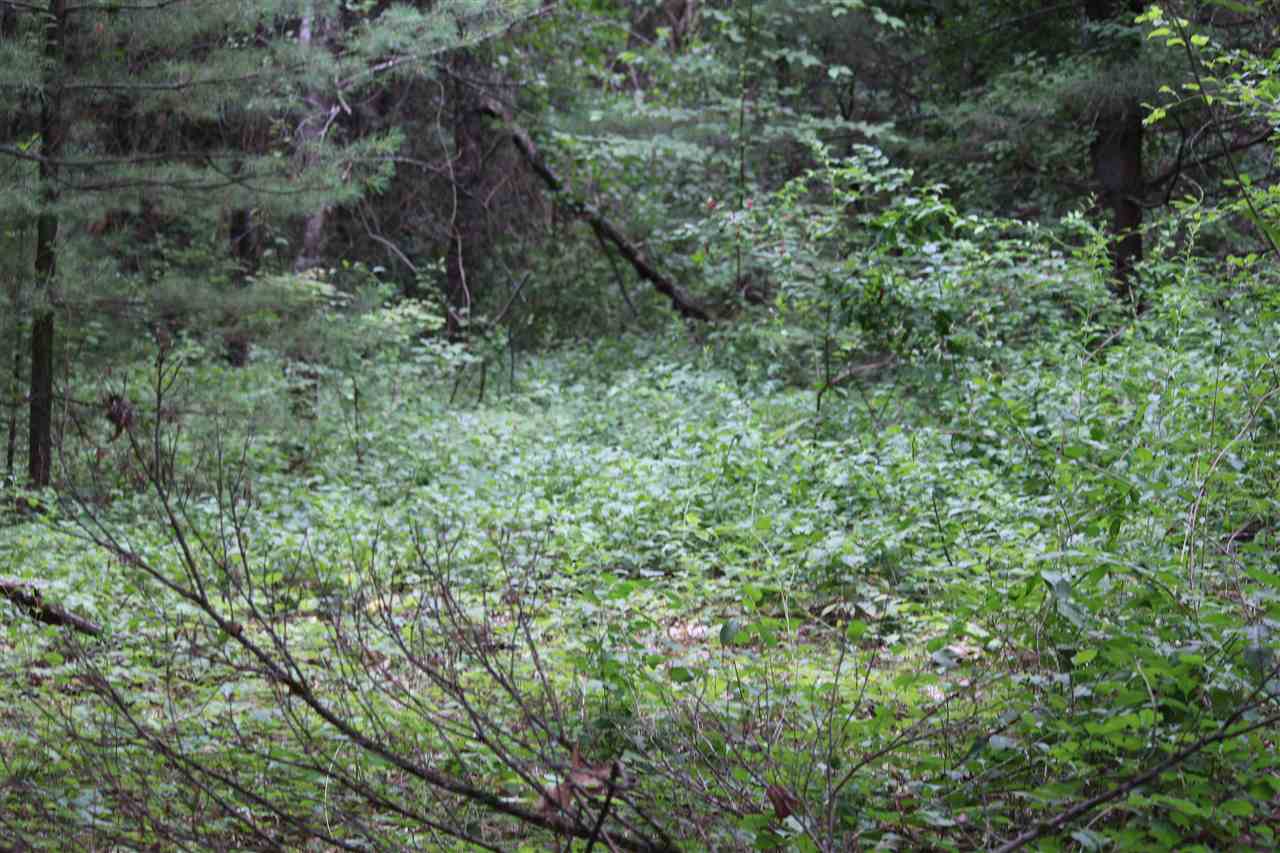 Lot 5-25-1 Perley Road Francestown, NH 03043 - Photo 8 of 12 Gallery Image 8