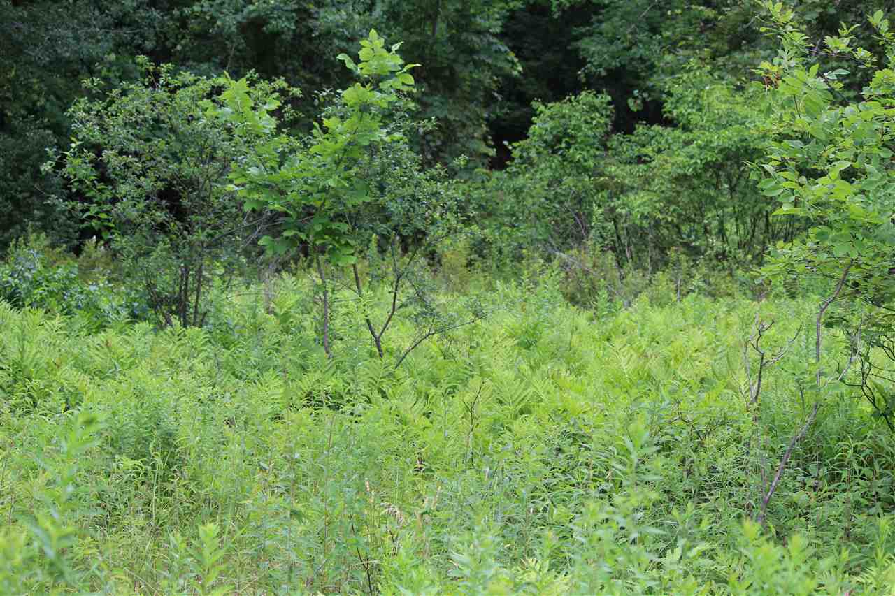 Lot 5-25-1 Perley Road Francestown, NH 03043 - Photo 10 of 12 Gallery Image 10
