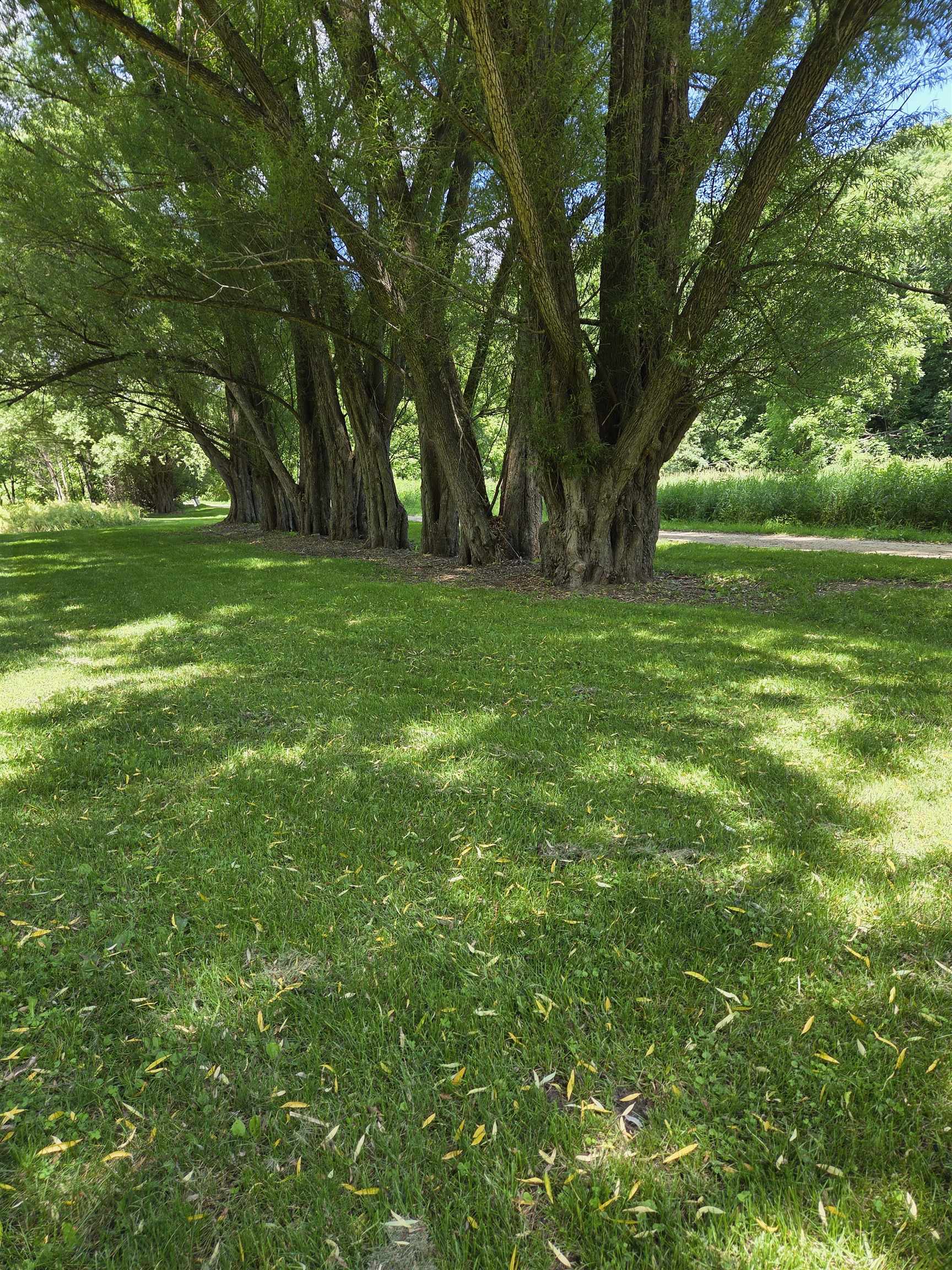 13035 Canyon Falls Road Mount Hope, WI 53816 - Photo 58 of 61