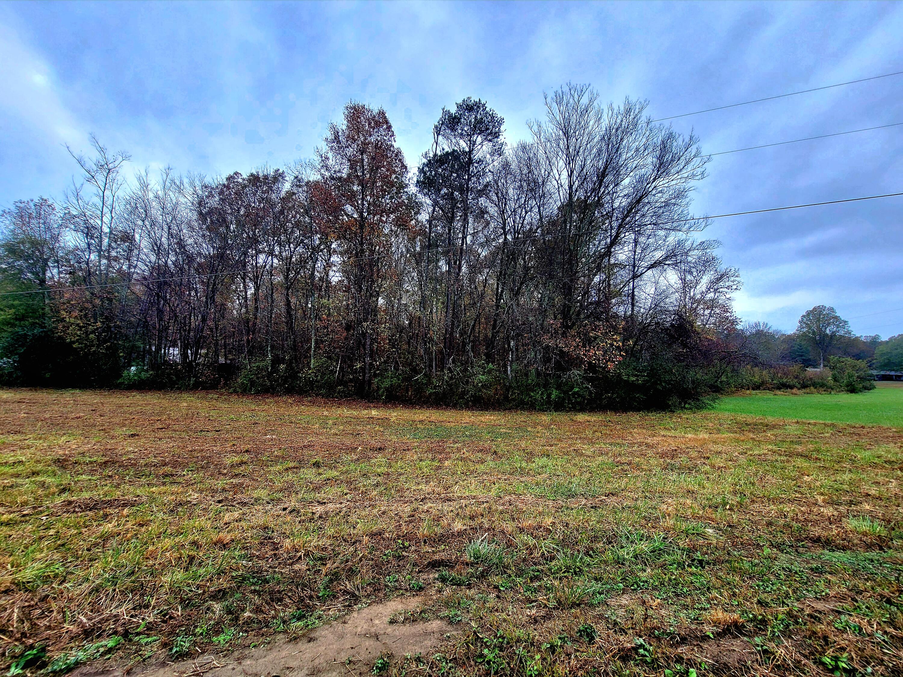 0 Co Road Higdon, AL 35979 - Photo 1 of 8 20241106_144959