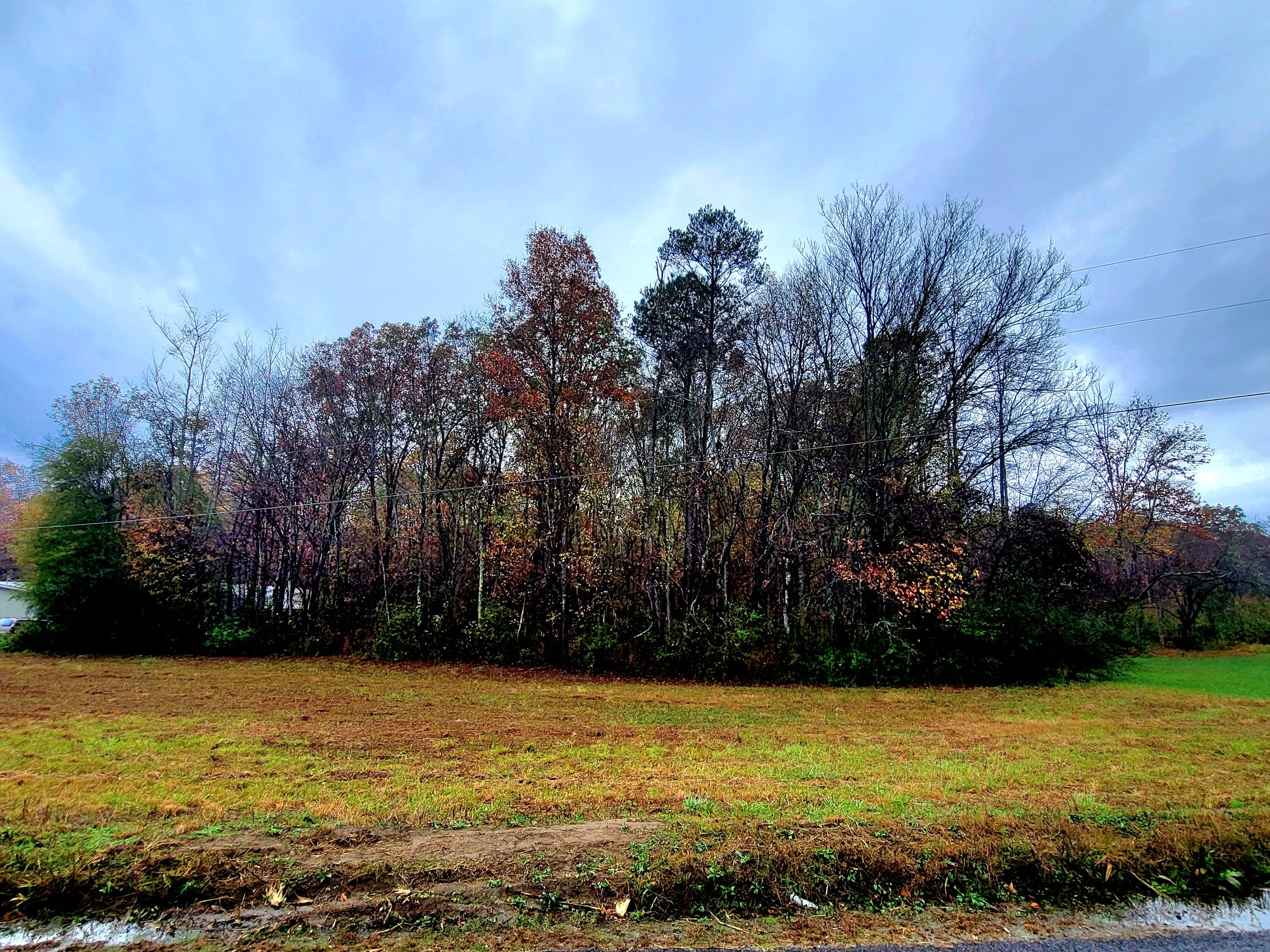 0 Co Road Higdon, AL 35979 - Photo 2 of 8 20241106_144945