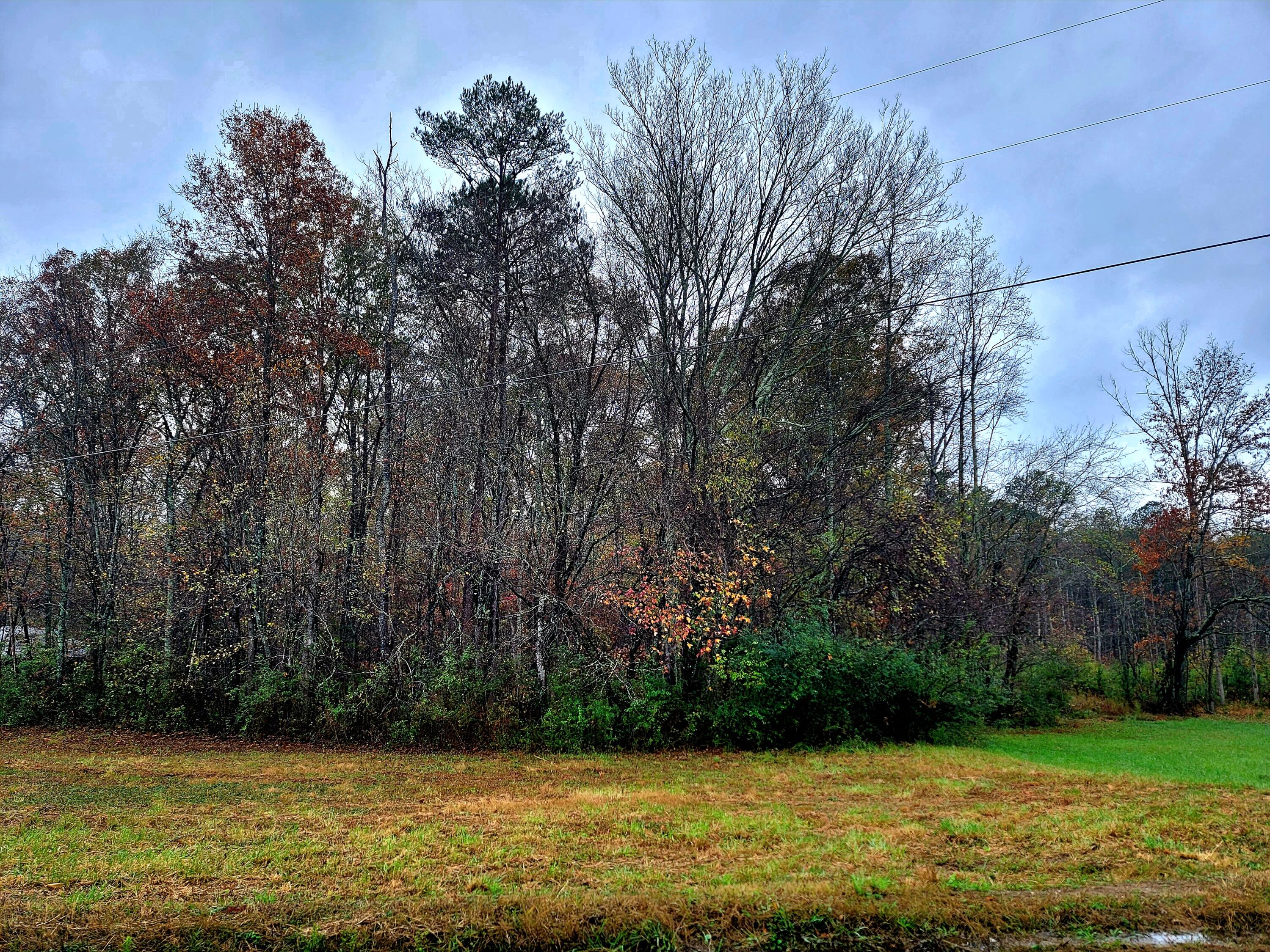 0 Co Road Higdon, AL 35979 - Photo 3 of 8 20241106_144852