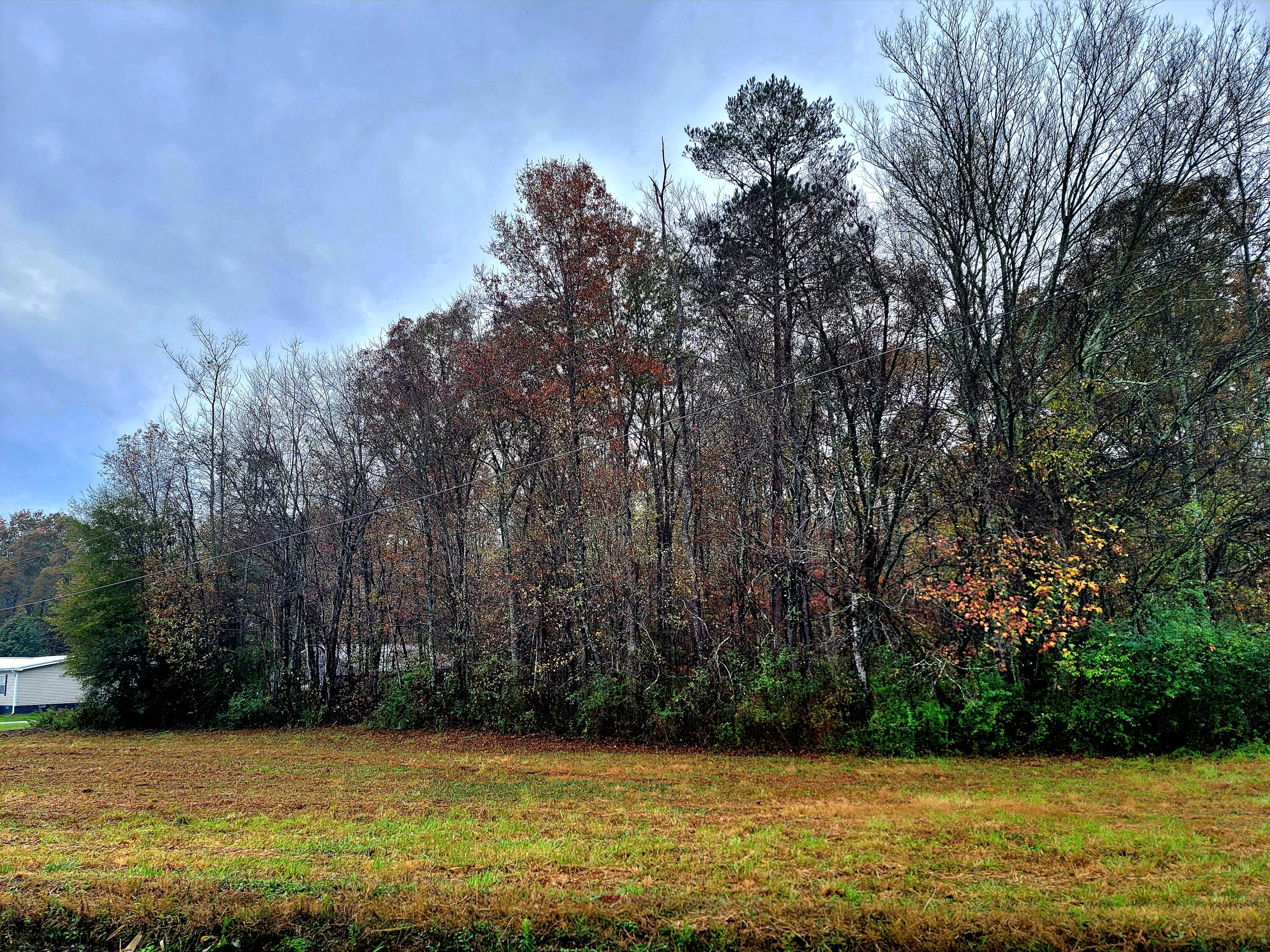 0 Co Road Higdon, AL 35979 - Photo 4 of 8 20241106_144857