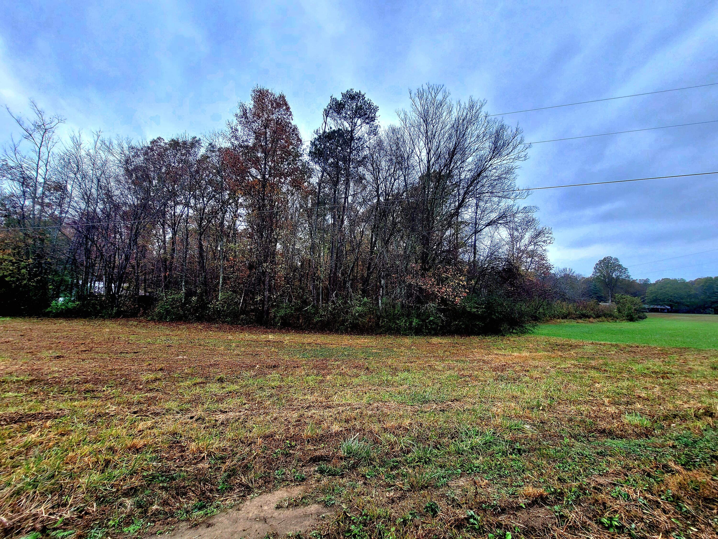 0 Co Road Higdon, AL 35979 - Photo 5 of 8 20241106_145002