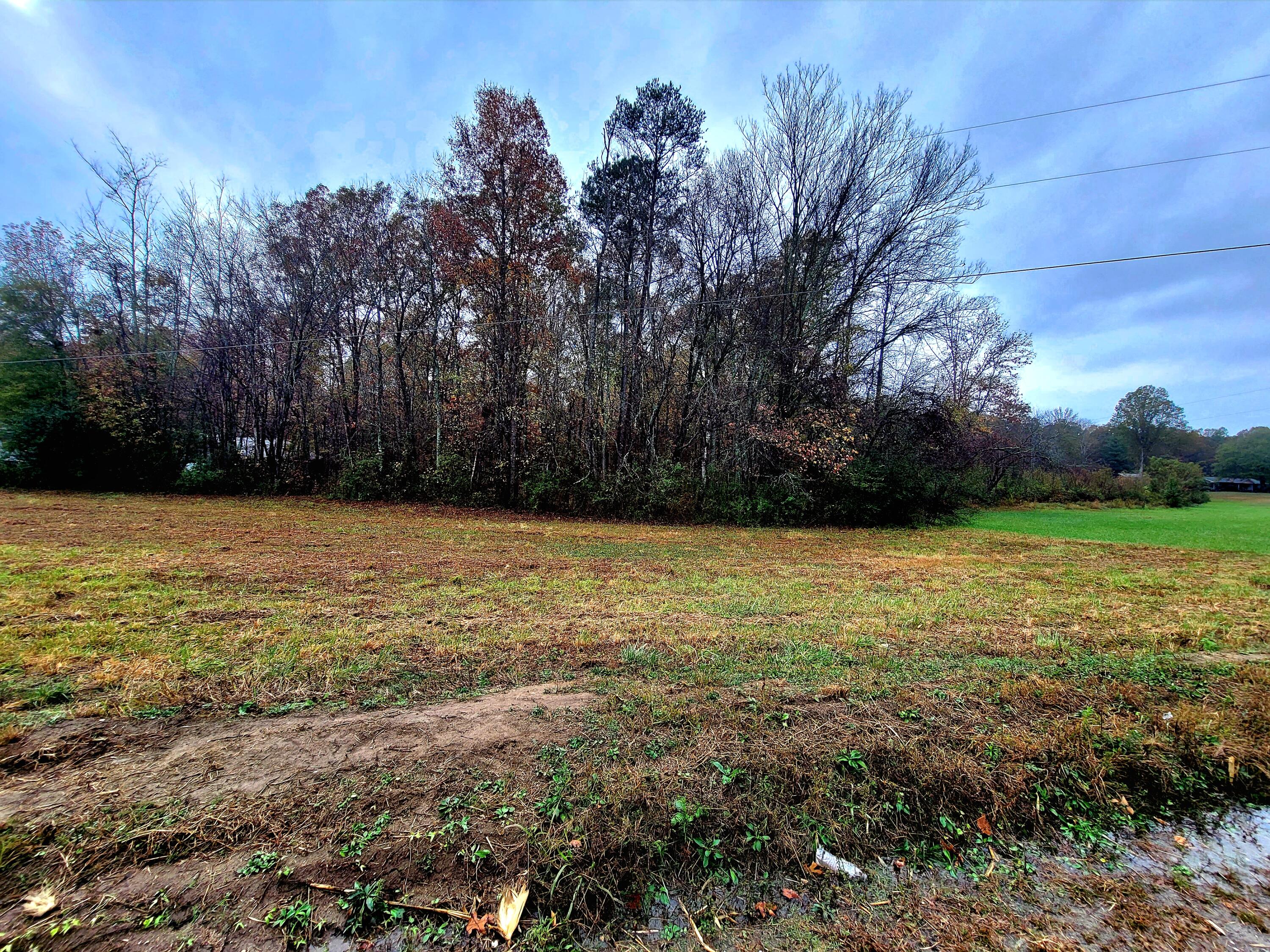 0 Co Road Higdon, AL 35979 - Photo 6 of 8 20241106_145015