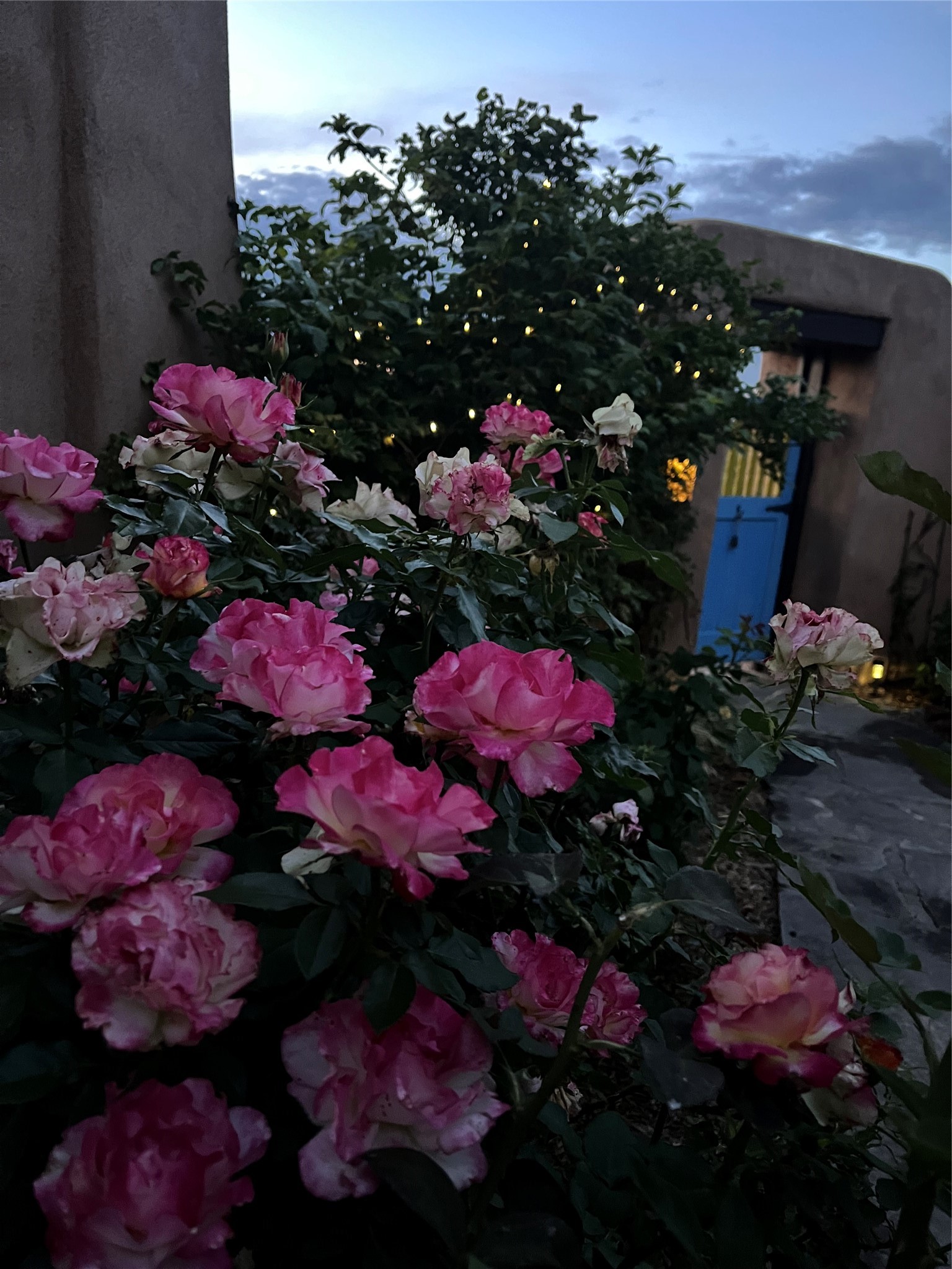 23 Monterey Road Santa Fe, NM 87508 - Photo 40 of 41 Rose garden