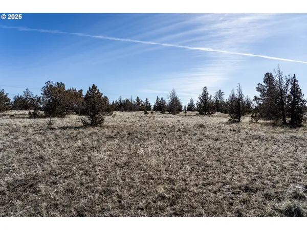 a view of a dry field with trees in background