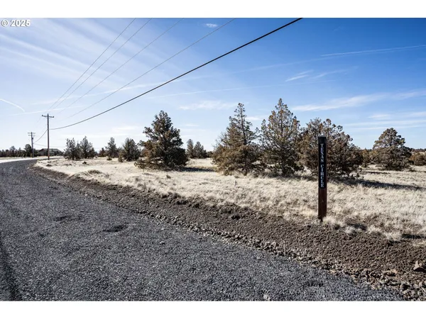 a view of a dry yard with trees