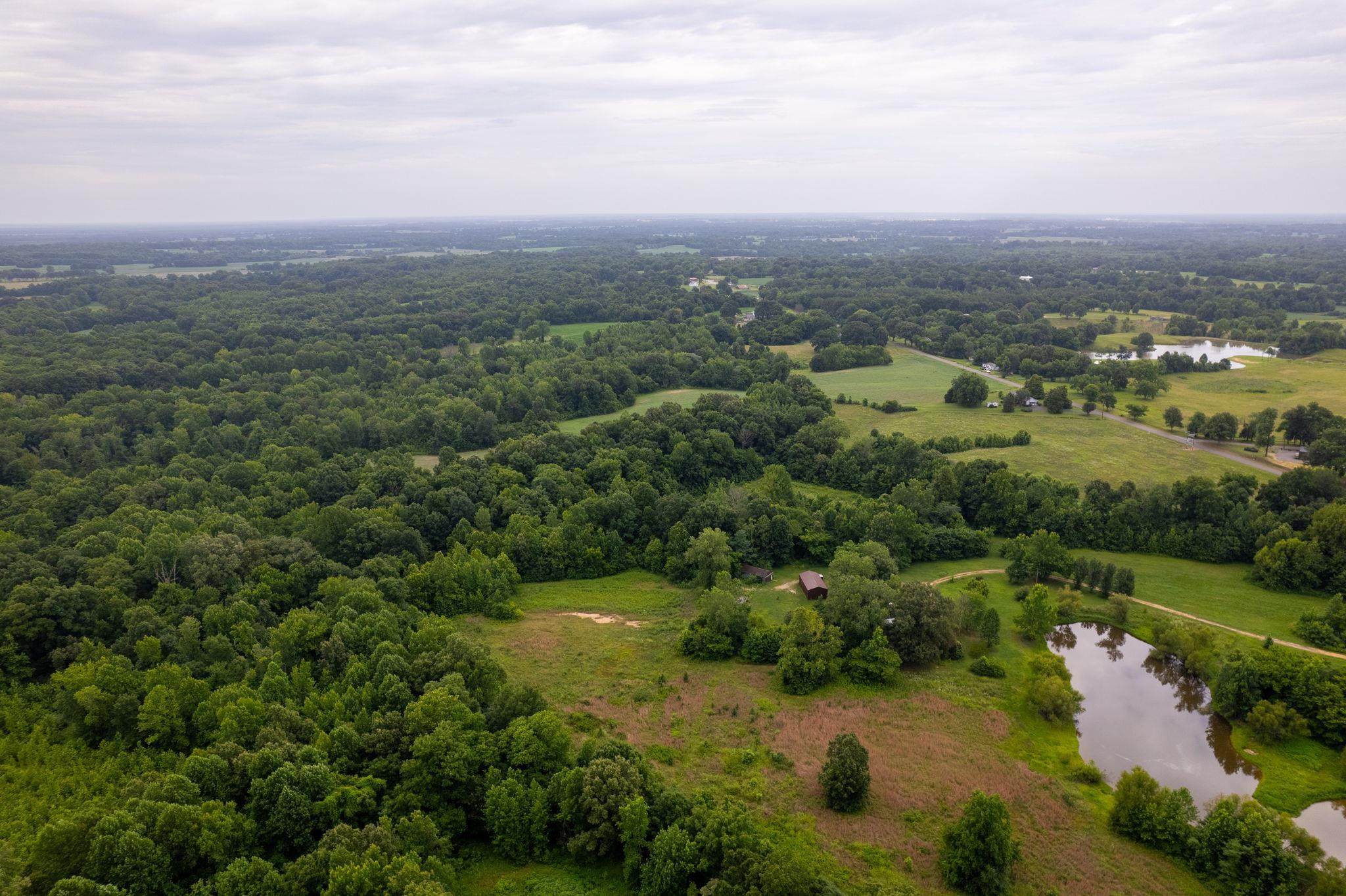 2990 Curve Woodville Road Ripley, TN 38063 - Photo 1 of 18