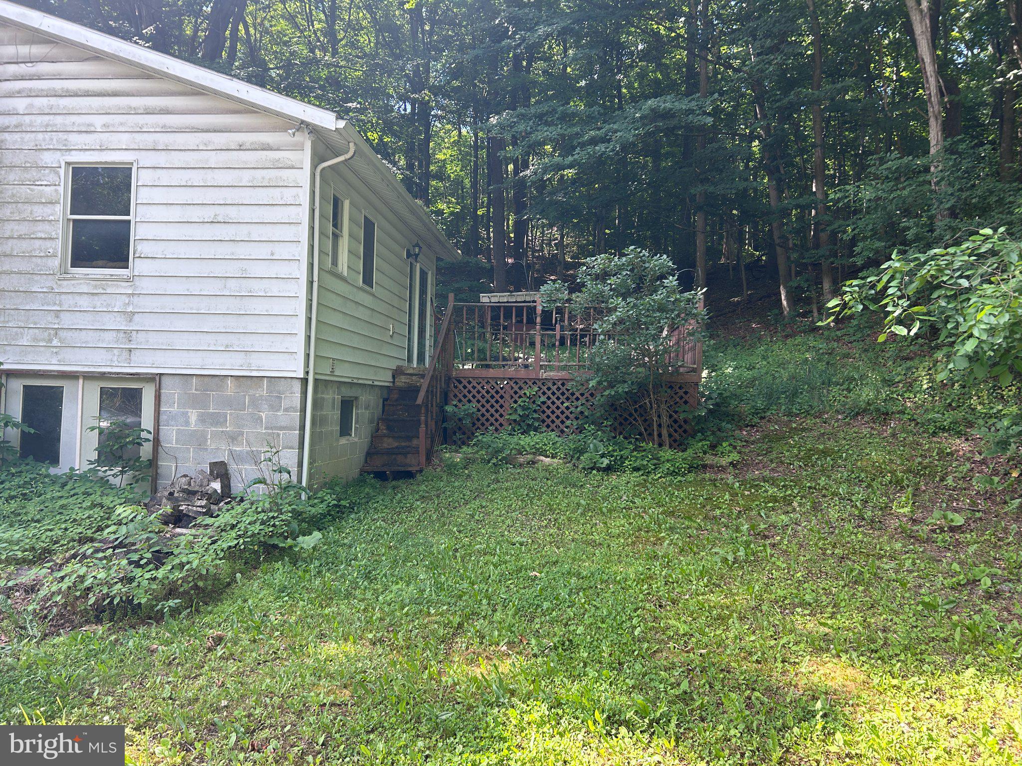 17738 Amberson Road Spring Run, PA 17262 - Photo 5 of 23 Serene retreat nestled in nature.