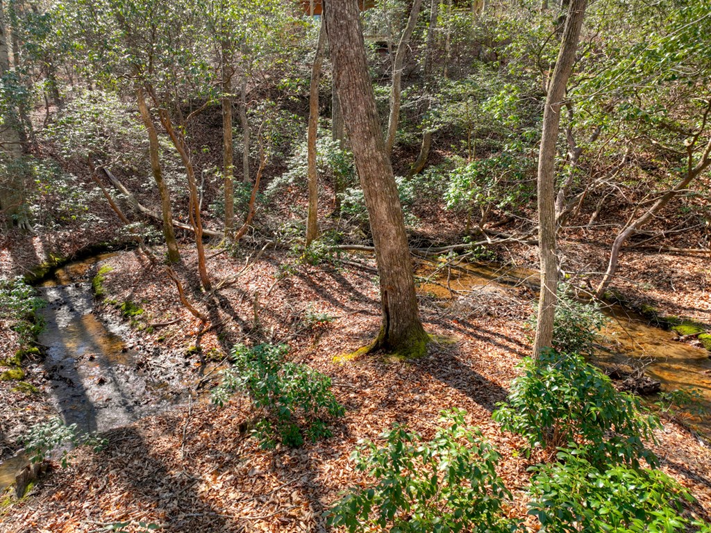 811 Mangum's Trail Blue Ridge, GA 30513 - Photo 29 of 70