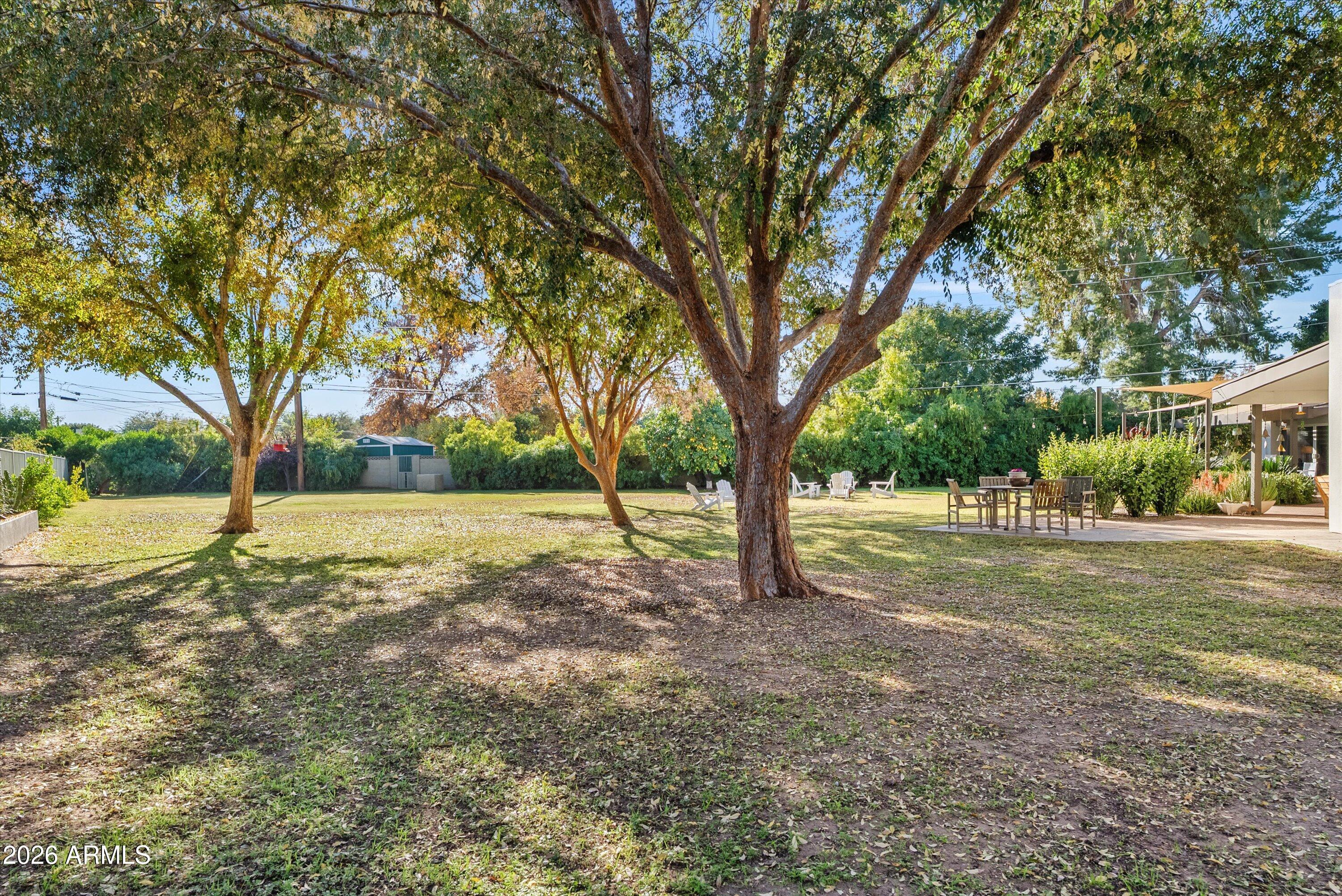 2933 East Pierson Street Phoenix, AZ 85016 - Photo 26 of 28 a view of backyard with tree