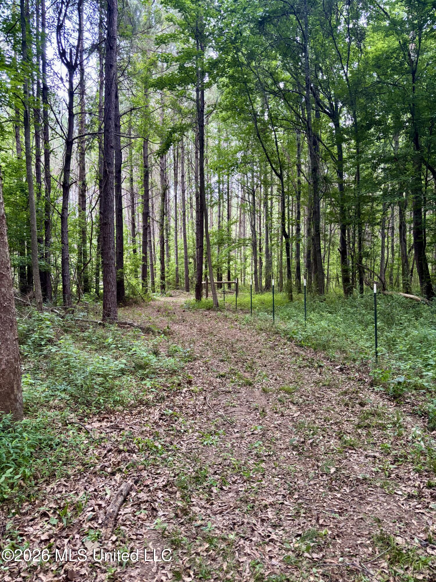 8119 Dry Grove Road Raymond, MS 39154 - Photo 35 of 45 IMG_4773