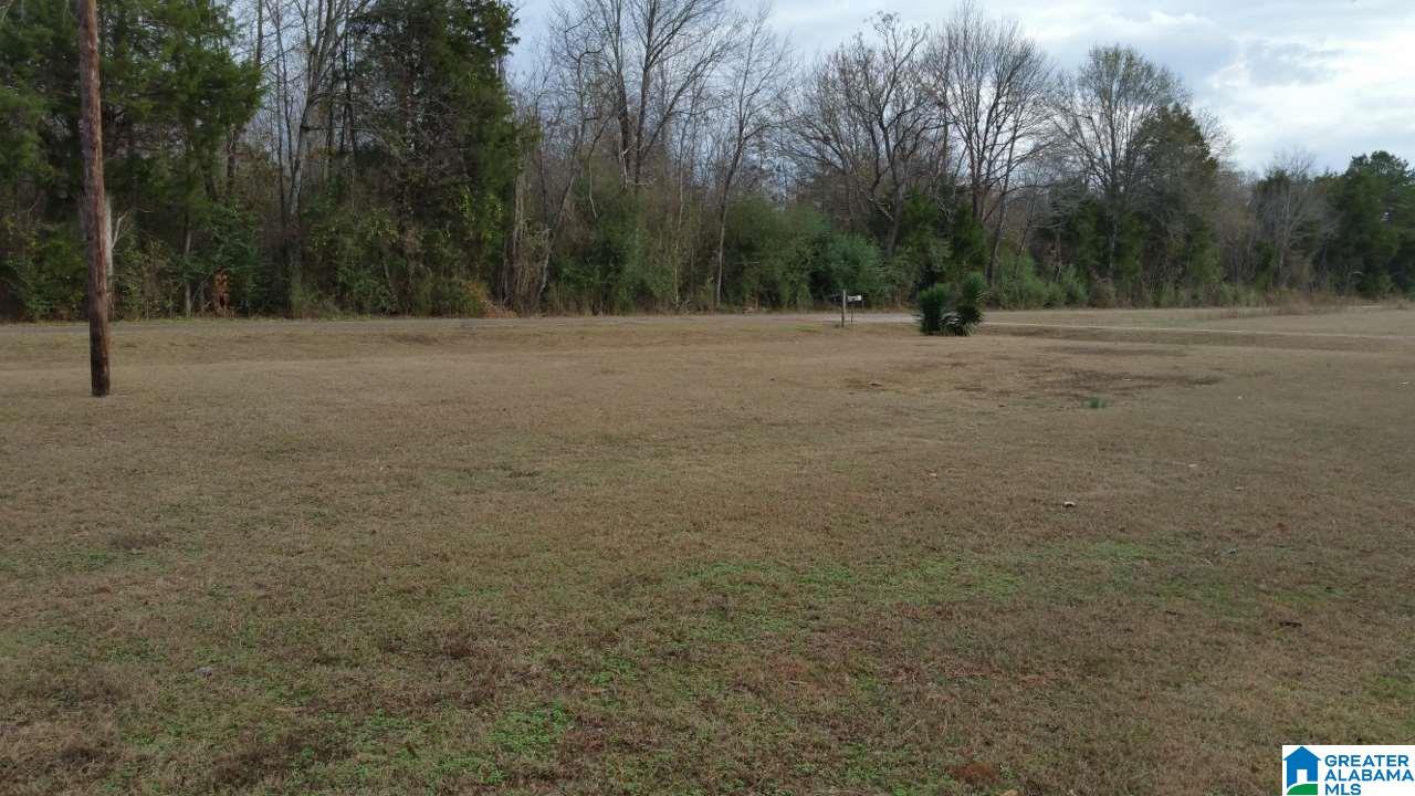 1223 Brasfield Road Akron, AL 35441 - Photo 35 of 38