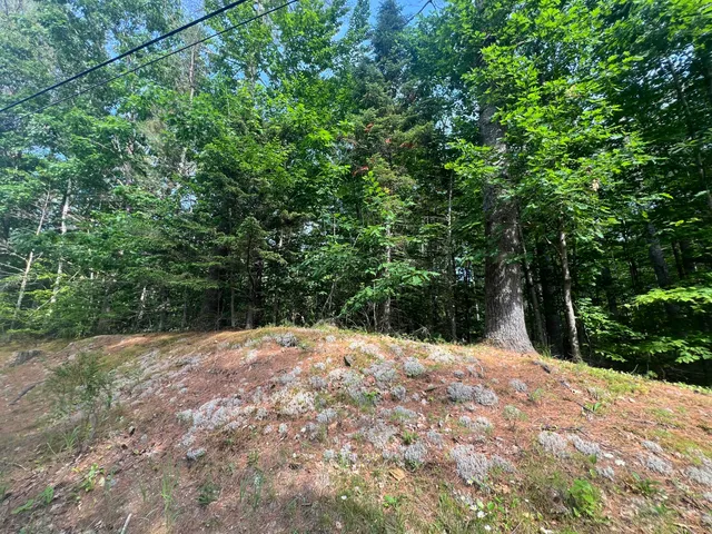 $65,000 | Lot #5 Intervale Road, Bethel, ME 04217