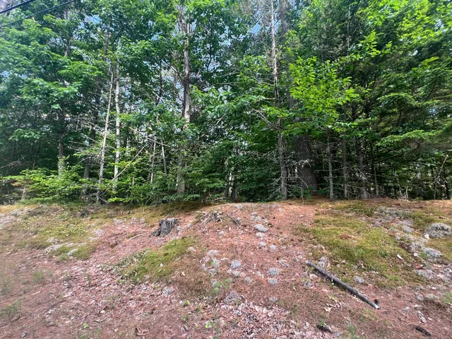 $65,000 | Lot #5 Intervale Road, Bethel, ME 04217