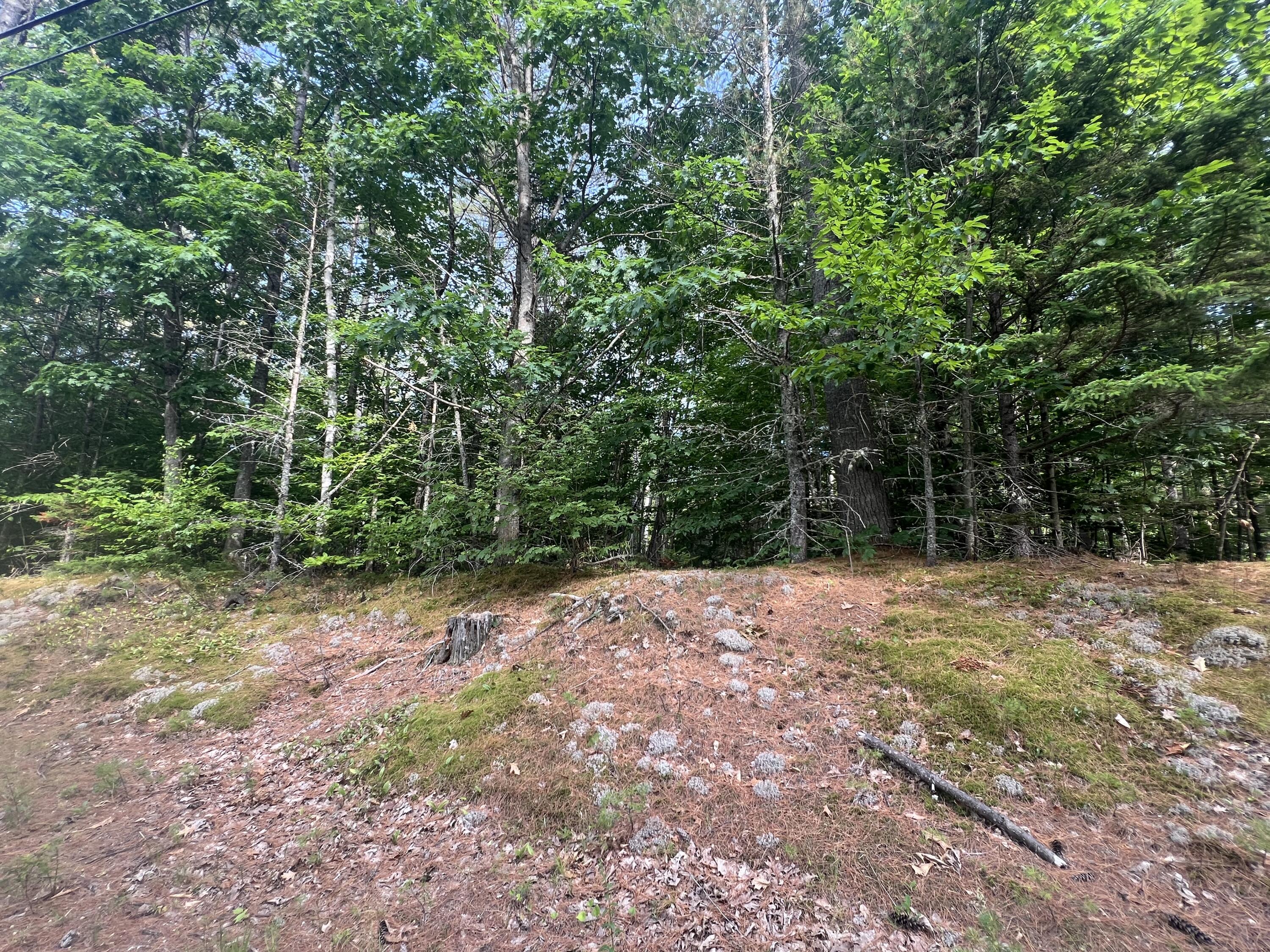 Lot #5 Intervale Road Bethel, ME 04217 - Photo 2 of 3 IMG_9109