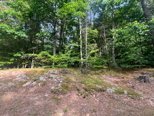 $65,000 | Lot #5 Intervale Road, Bethel, ME 04217