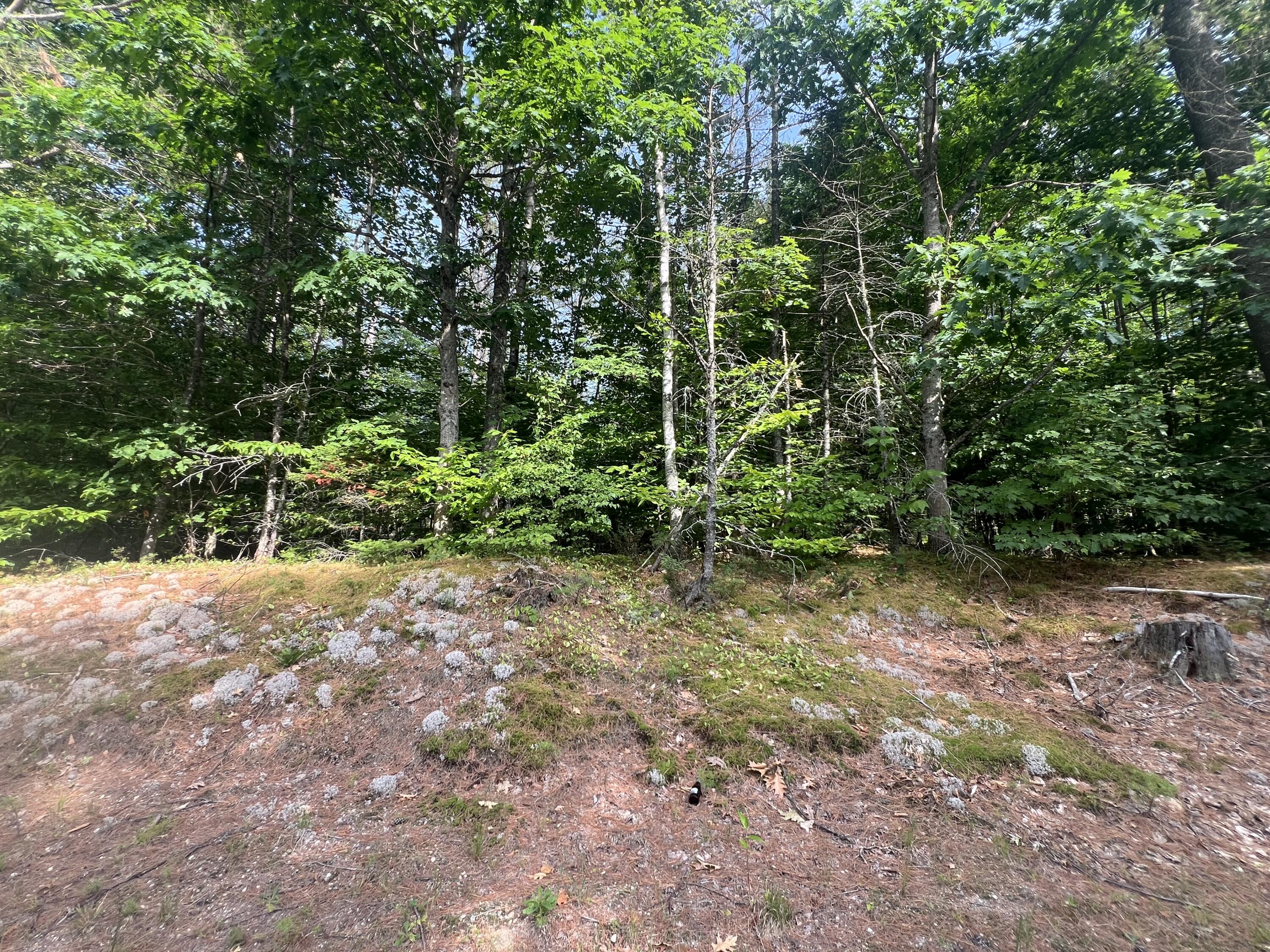 Lot #5 Intervale Road Bethel, ME 04217 - Photo 3 of 3 IMG_9111