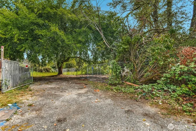 a view of a yard with a tree