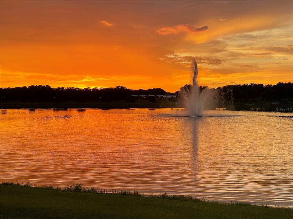 2894 Sand Oak Loop Apopka, FL 32712 - Photo 69 of 69