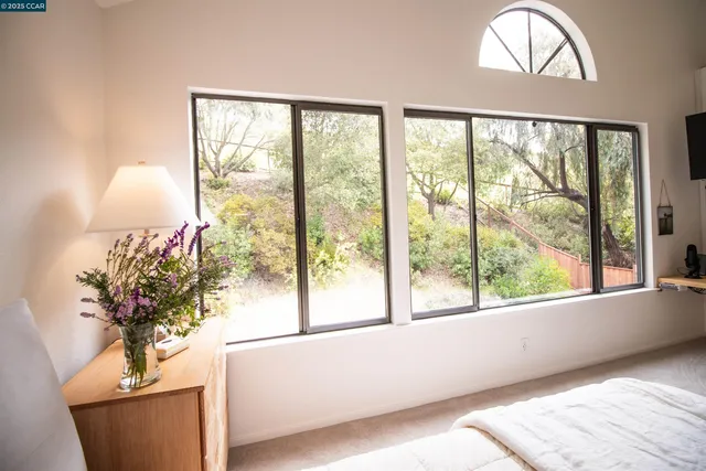 a living room with a large window and a potted plant
