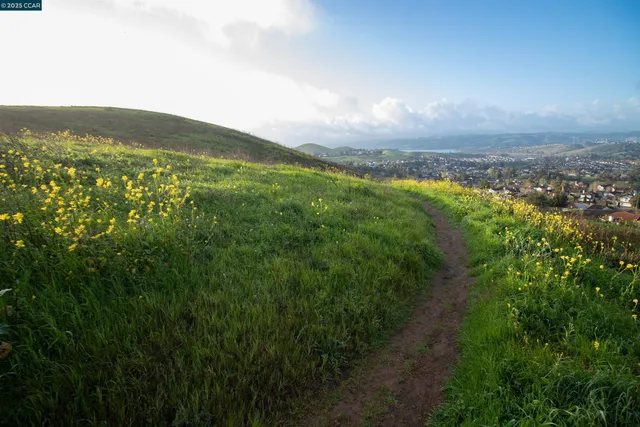 a view of a chairs and table in the backyard