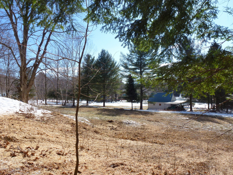 751 Henderson Road Williamstown, MA 01267 - Photo 11 of 12 henderson rd view2