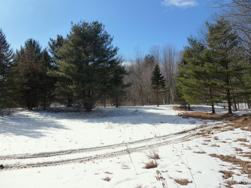 751 Henderson Road Williamstown, MA 01267 - Photo 12 of 12 henderson rd view3