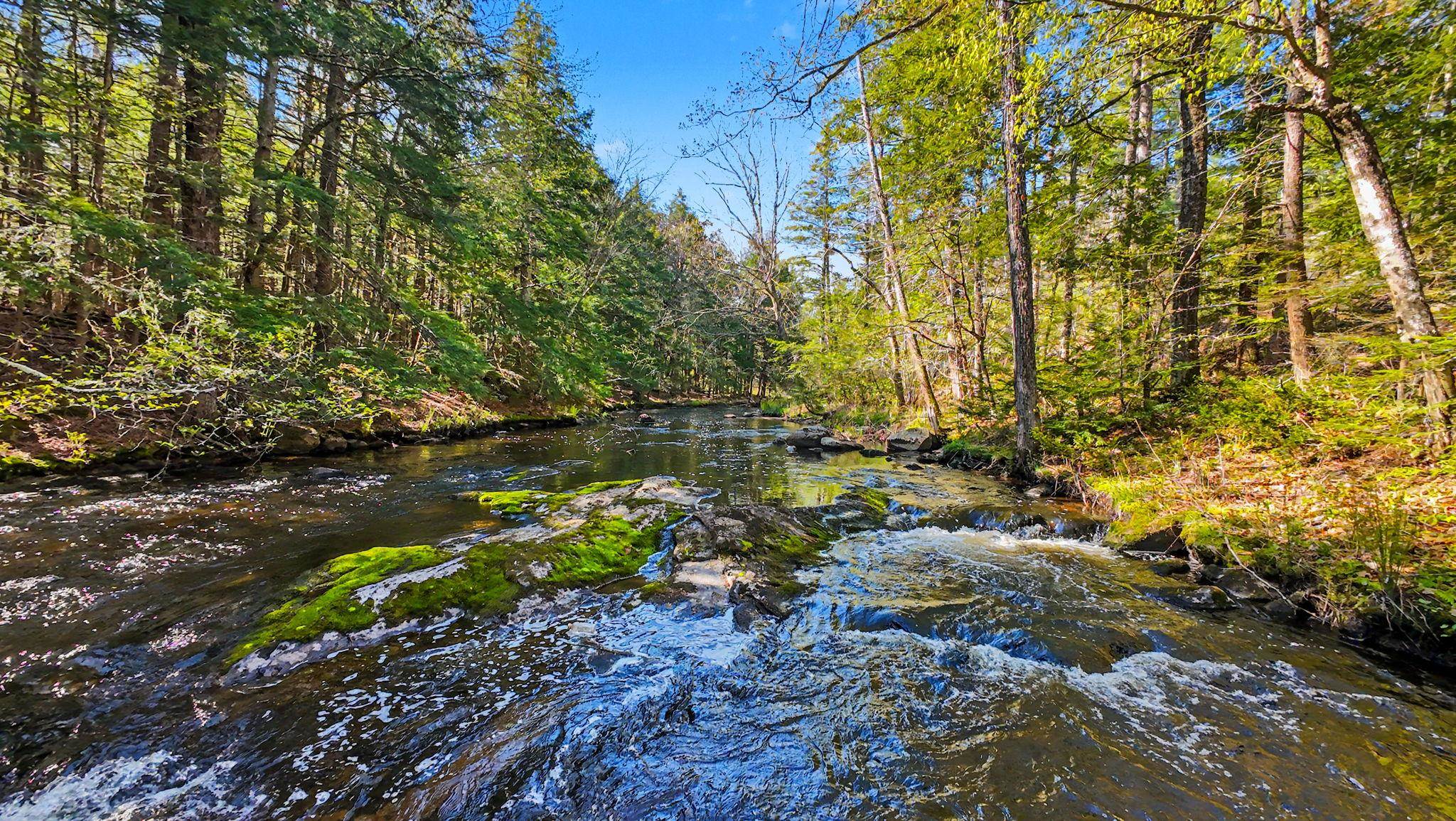 175 Hadley Road Jaffrey, NH 03452 - Photo 60 of 60