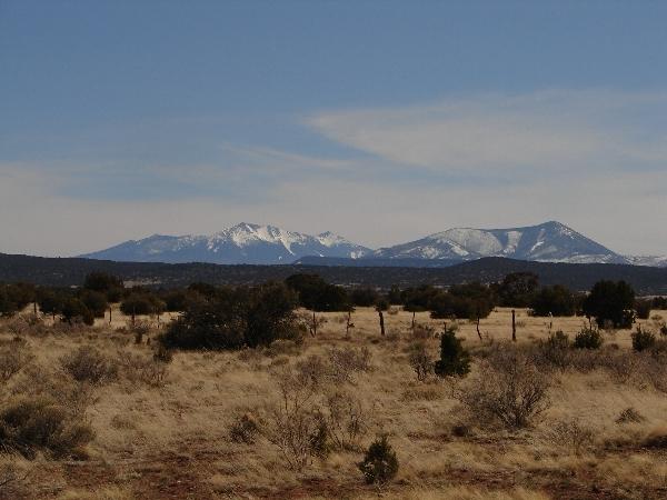 4591 East Ashing Road Valle, AZ 86046 - Photo 3 of 4 gcspics016