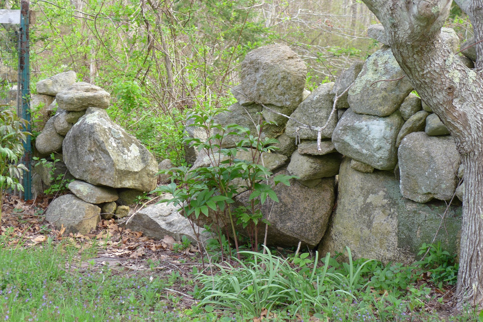 55 Fish Hook Road West Tisbury, MA 02568 - Photo 22 of 25 Gallery Image 22