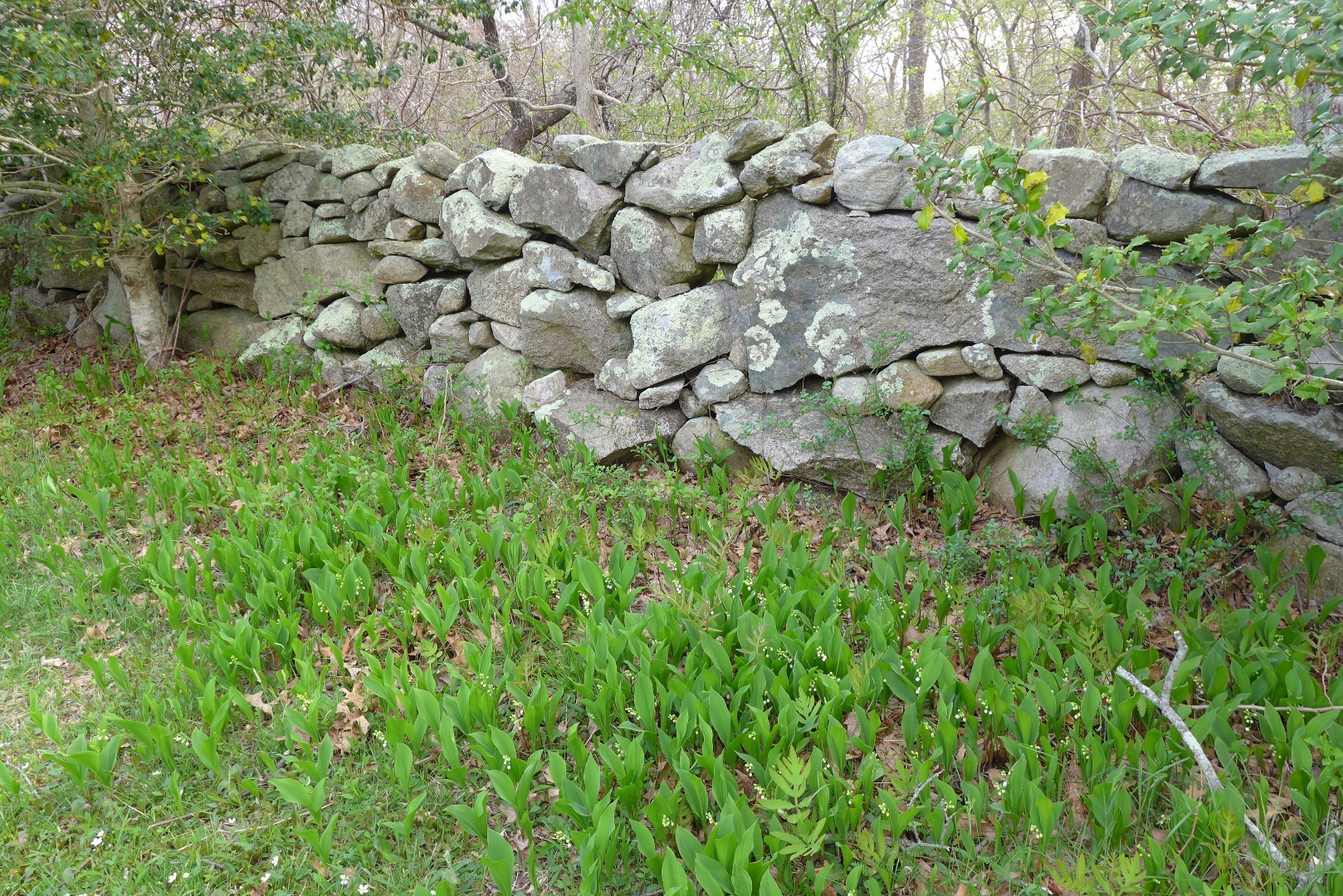 55 Fish Hook Road West Tisbury, MA 02568 - Photo 23 of 25 Gallery Image 23