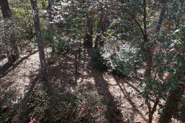 59 General Canby Drive Daphne, AL 36527 - Photo 16 of 19