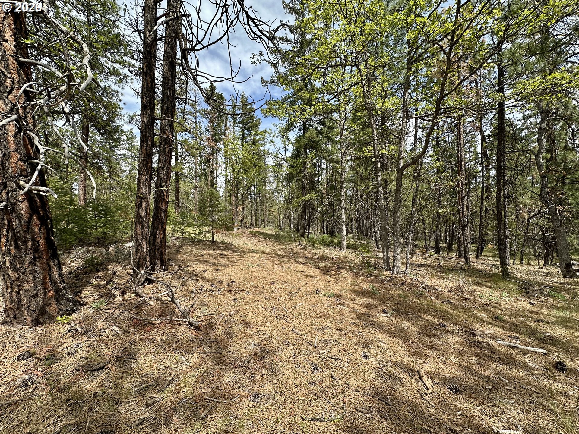 Pipeline Road Goldendale, WA 98620 - Photo 11 of 31 Gallery Image 11