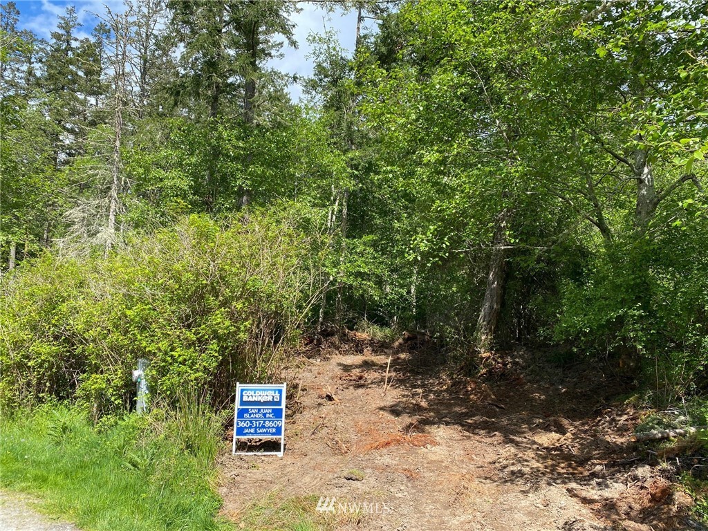 0 School Road Lopez Island, WA 98261 - Photo 3 of 11 a view of a trees with a yard